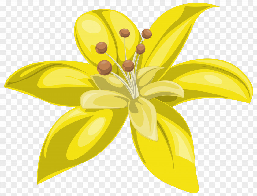 Yellow Flowers Flower Lilium Clip Art PNG
