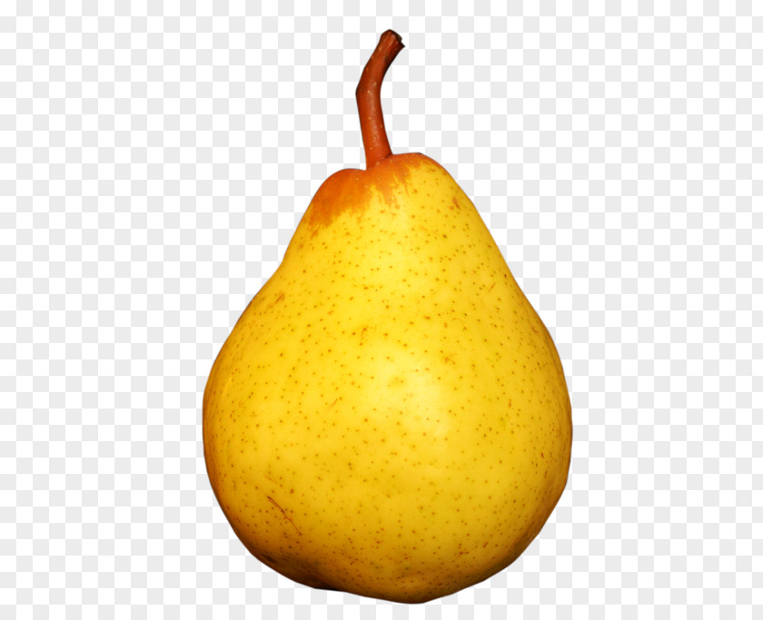 Apple Asian Pear PNG