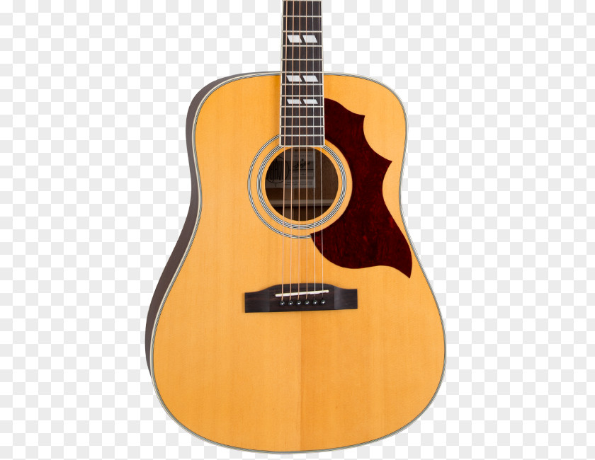 Bird Nature Acoustic Guitar Acoustic-electric Cuatro Slide PNG