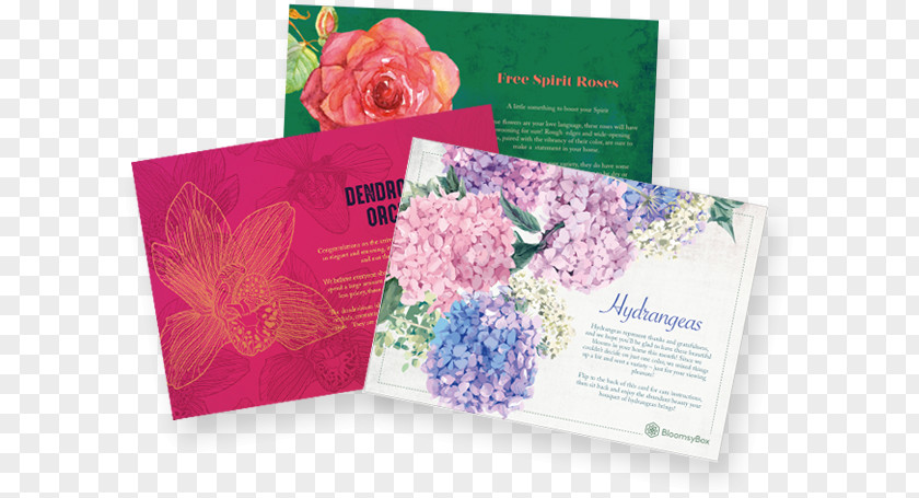 Box Flower Floral Design Gift Card Petal PNG