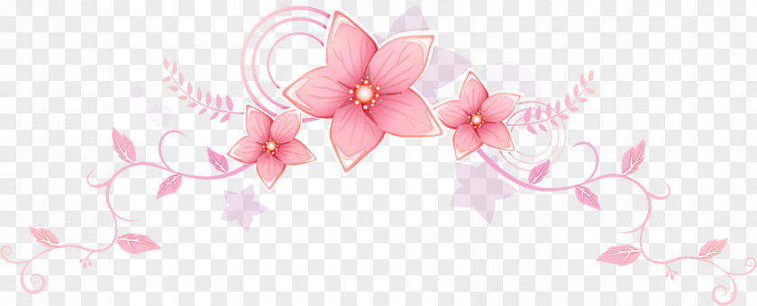 Flower Border Background PNG