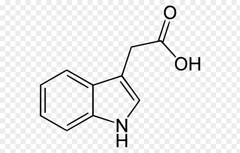 Indole-3-acetic Acid Indole-3-butyric Auxin PNG