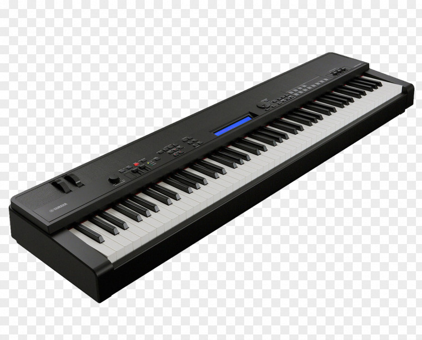 Piano Keyboard Yamaha Corporation Stage Sound Synthesizers Digital Action PNG