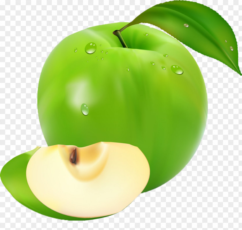 Spring Fresh Green Fantasy Colorful Fruit Juicy Apple Slices Image File Formats Clip Art PNG