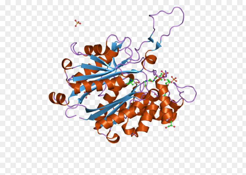 Thiolase Bioinformatics ACAT1 ACAT2 Acetyl-CoA C-acetyltransferase PNG