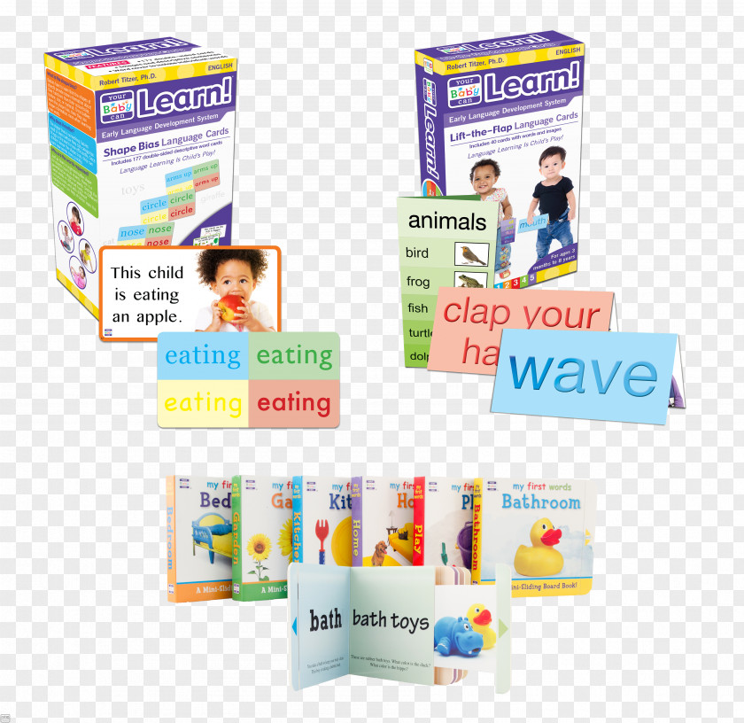 Baby Card Learning Foreign Language Infant English PNG