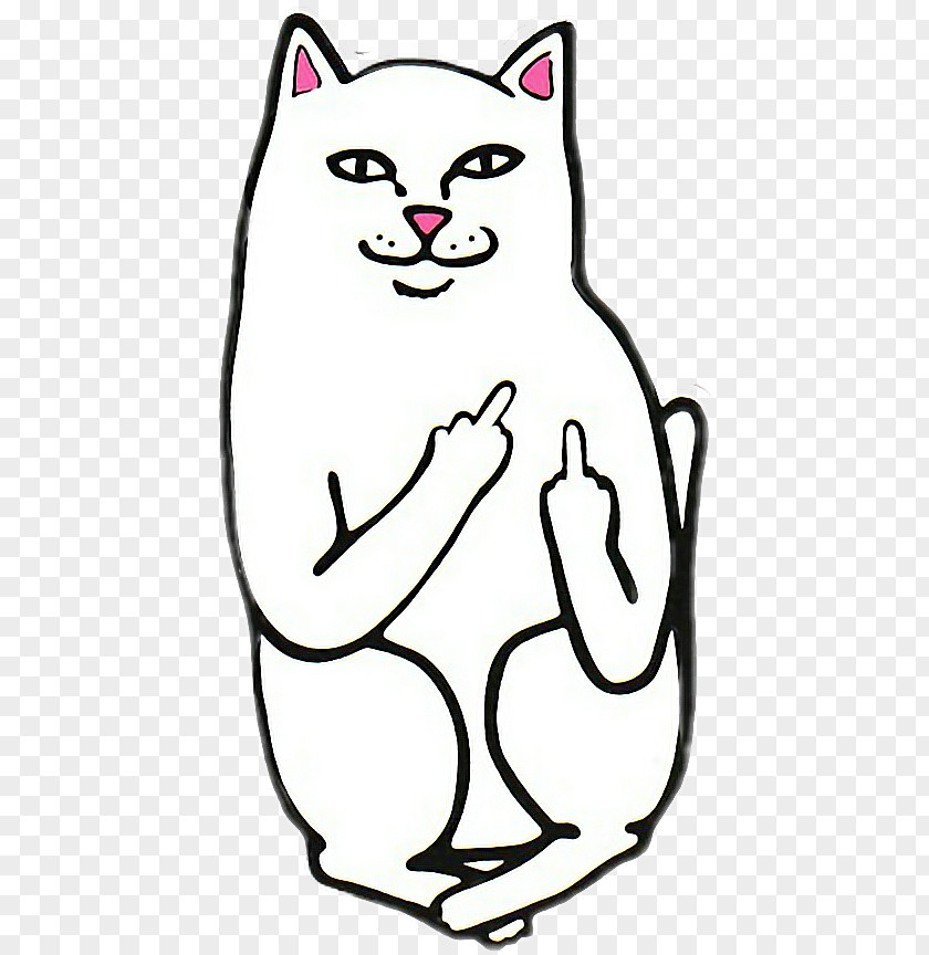 Cat Middle Finger Decal Sticker PNG