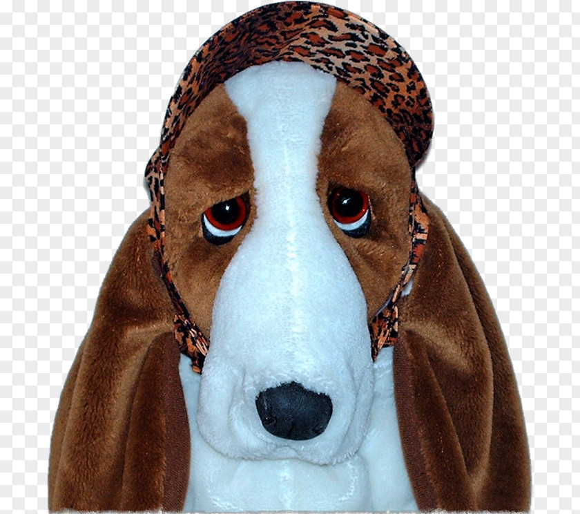 Dog Breed Snout Headgear PNG