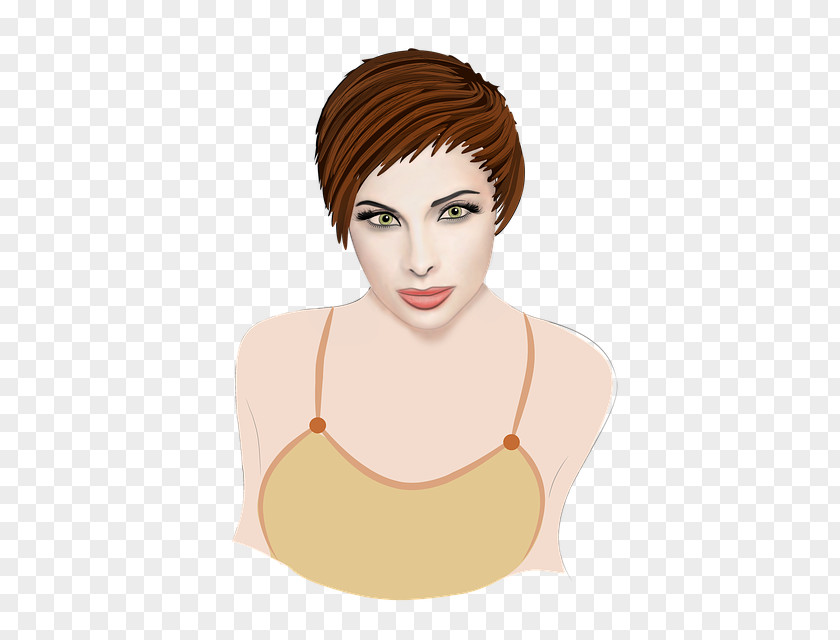 Drawing Lace Wig Woman Hair PNG