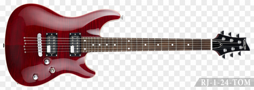 Electric Guitar Bass PRS Guitars Floyd Rose PNG
