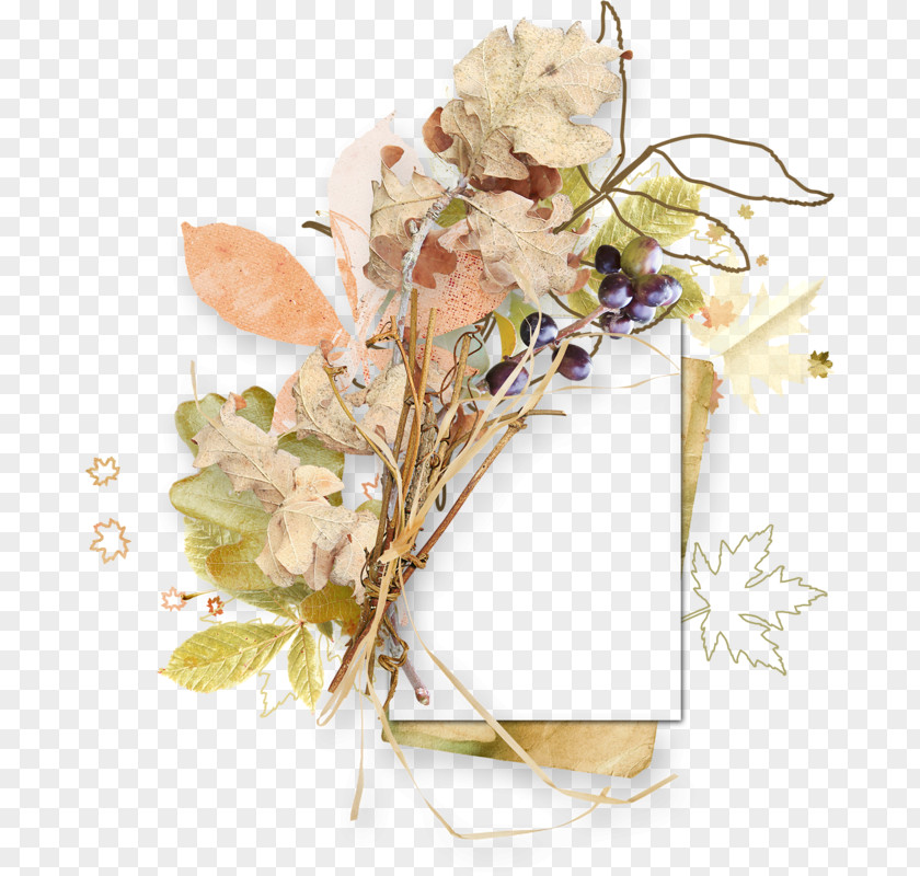 Floral Design Borders And Frames Image Picture PNG
