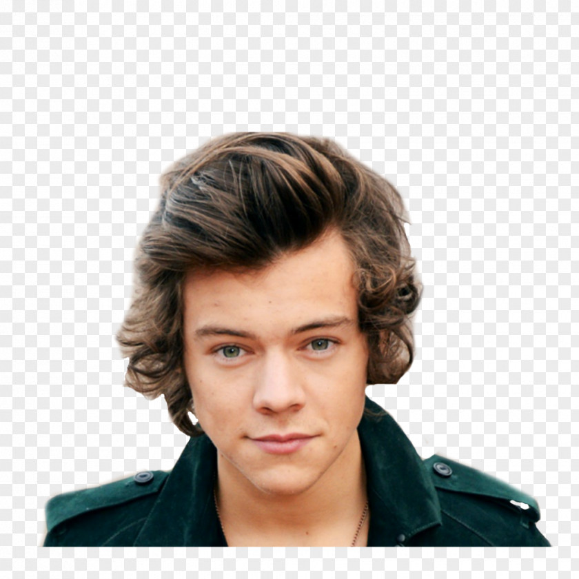 One Direction Harry Styles The X Factor Sign Of Times PNG