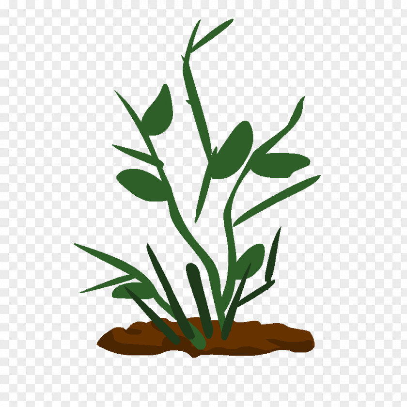 Plante Drawing Technique Plant Stem Clip Art PNG