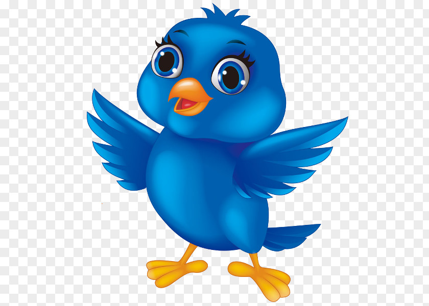 Blue Bird Cartoon Clip Art PNG