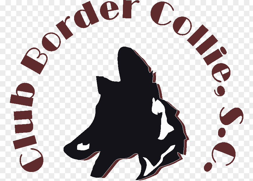 Border Collie Rough Canidae Association PNG