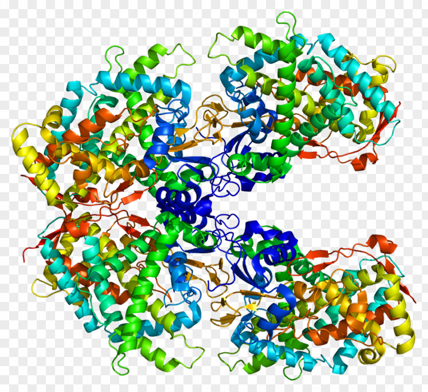 Cytochrome P450 CYP2A6 Structure Enzyme PNG