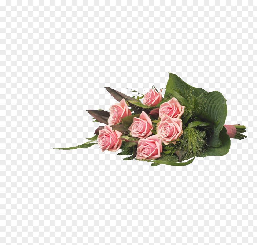 Flower Garden Roses Funeralco Wommelgem Kapellen Lint PNG