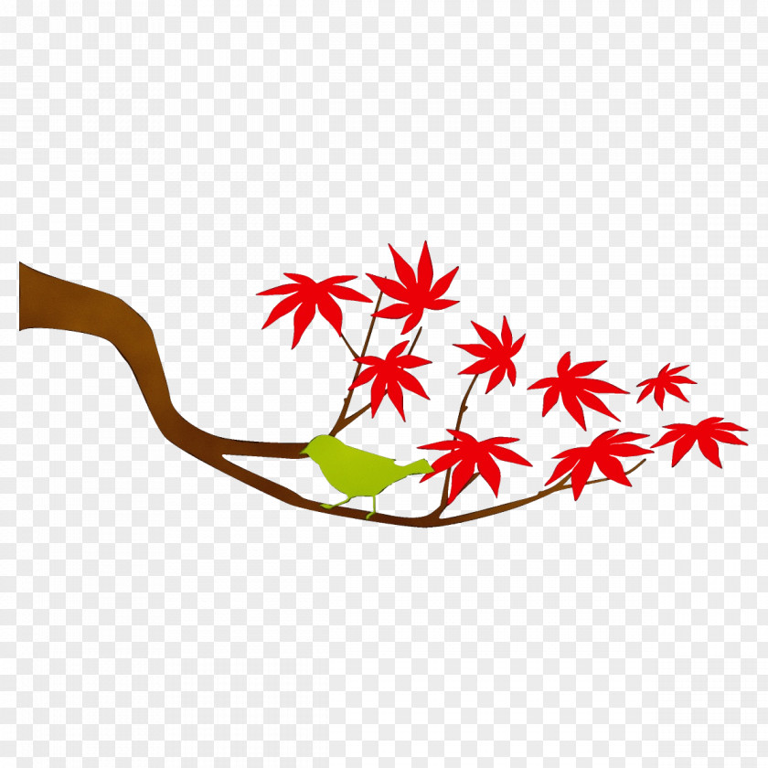 Flower Maple Leaf PNG