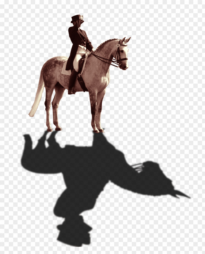 Knight Horse Download Computer File PNG