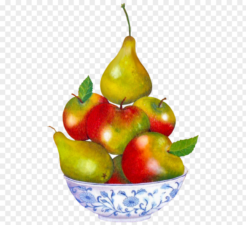 Pear Pyrus Xd7 Bretschneideri Auglis Fruit Apple PNG