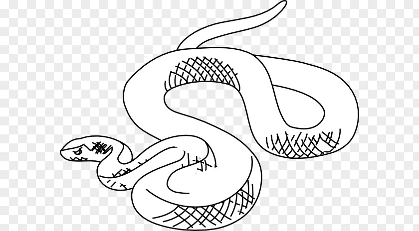 Snake Drawing Clip Art PNG