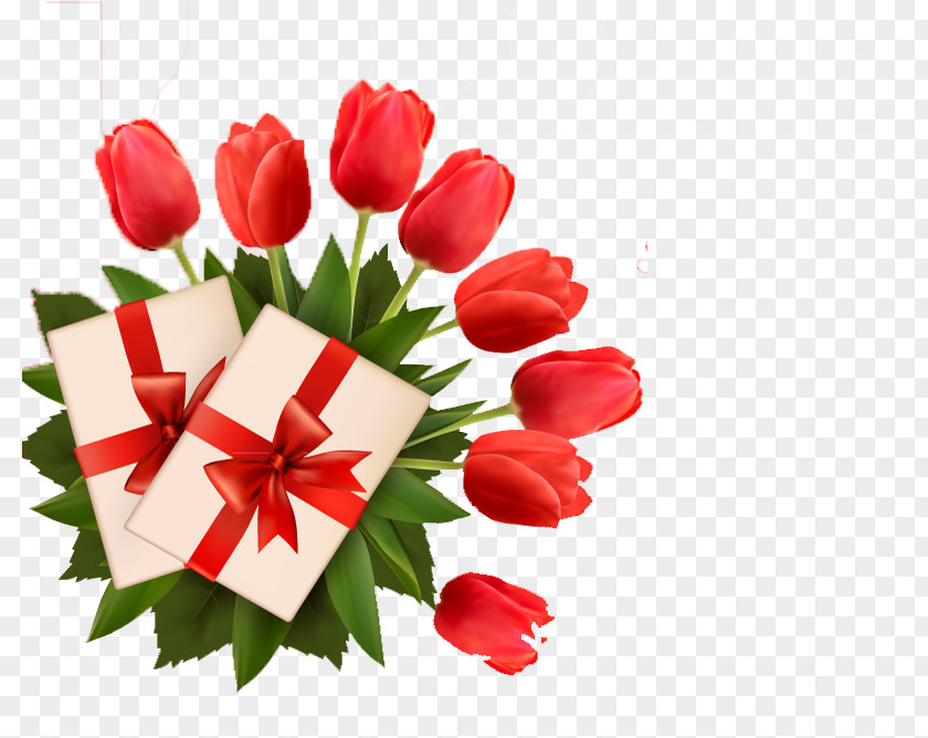 Tulip Card Indira Gandhi Memorial Garden PNG