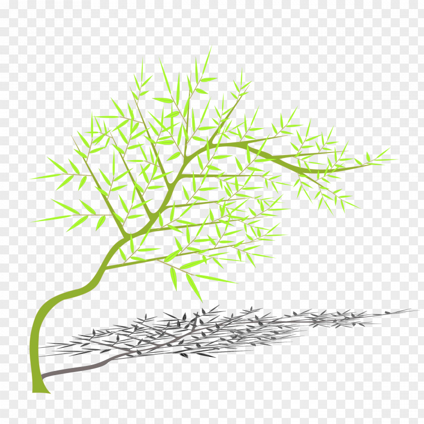 Bamboo Tree Branch PNG