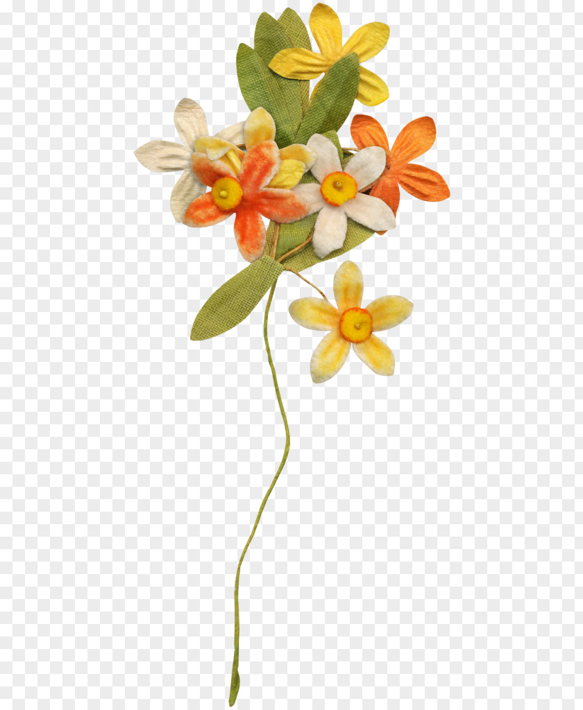 Bouquet Floral Design Petal Spring Plant Stem Flowering PNG