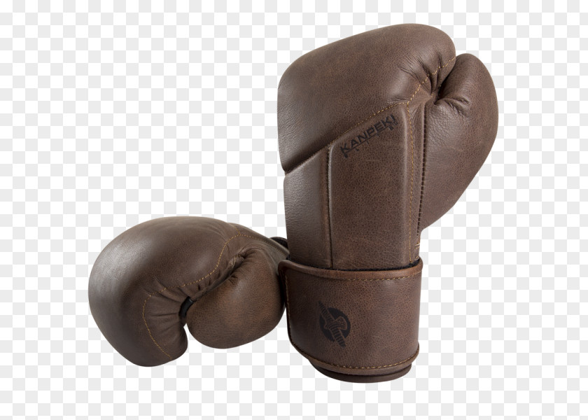 Boxing Glove Ofitsial'nyy Diler PNG