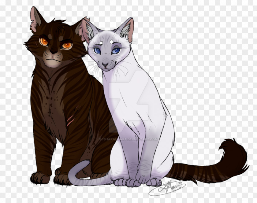 Cat Tabby Warriors Kitten Tigerstar PNG