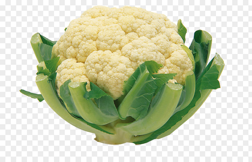 Green Cabbage Cauliflower Red Vegetable Food PNG