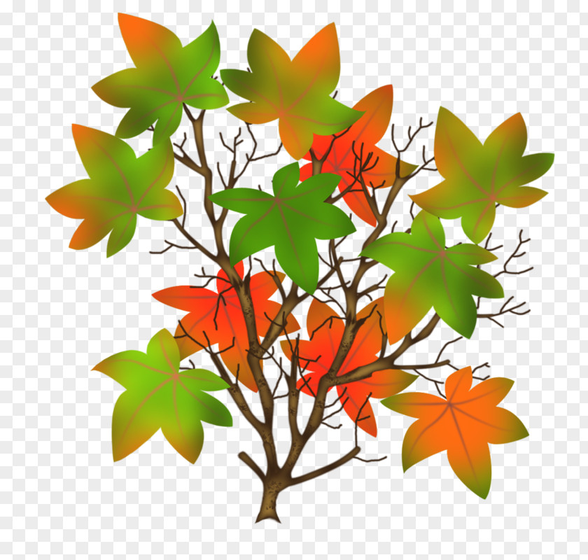 Leaf Maple Clip Art PNG