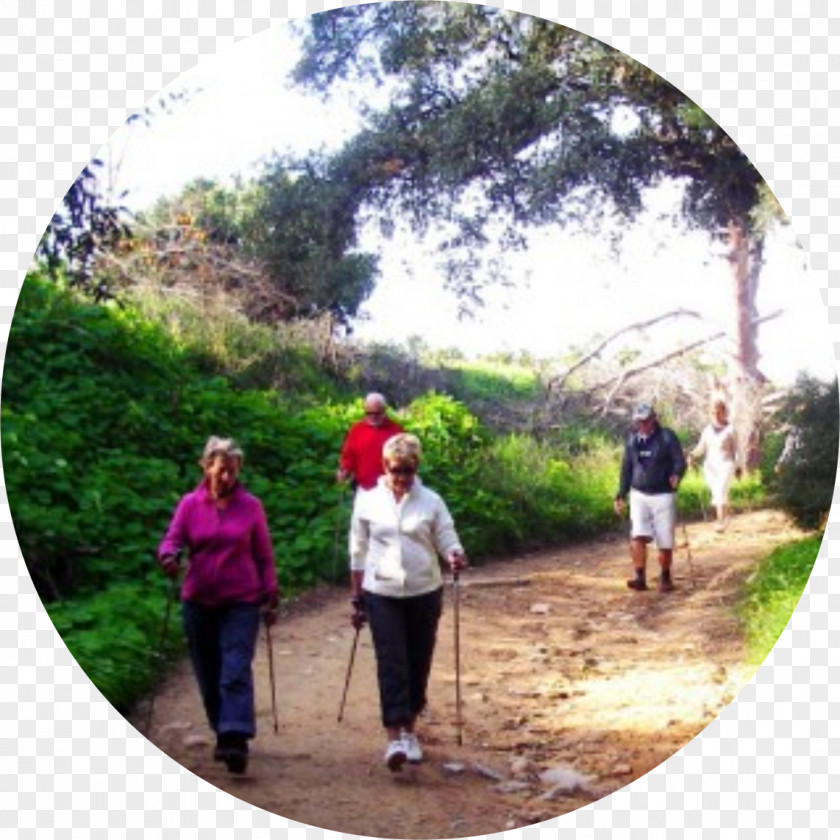 Nordic Walking Hiking Leisure PNG