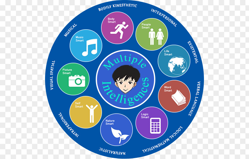 Theory Of Multiple Intelligences Human Intelligence Information PNG