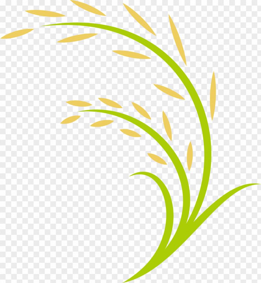 Cartoon Rice Field Computer File PNG