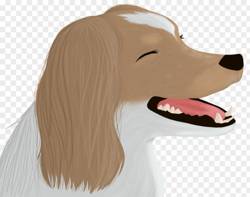 Chin Poster Design Dog Snout Canidae Nose Carnivora PNG