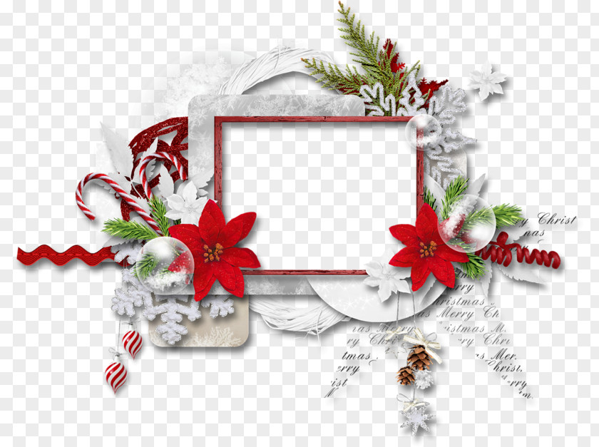 Christmas Ornament Picture Frames PNG