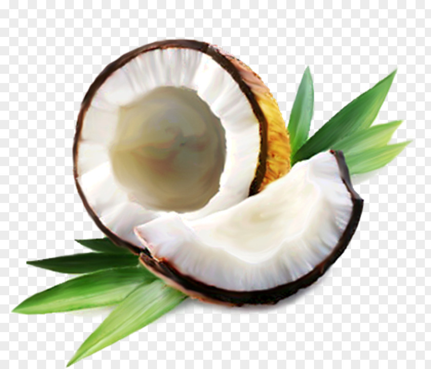 Coconut Water Oil Milk PNG