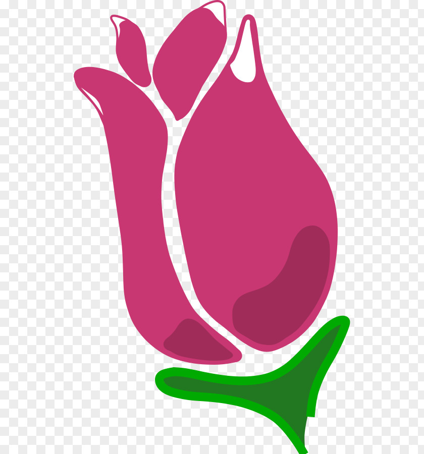 Free Rose Pictures Bud Flower Clip Art PNG