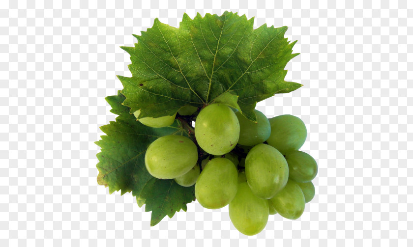 Grape Wine Grapevines Sultana Food PNG
