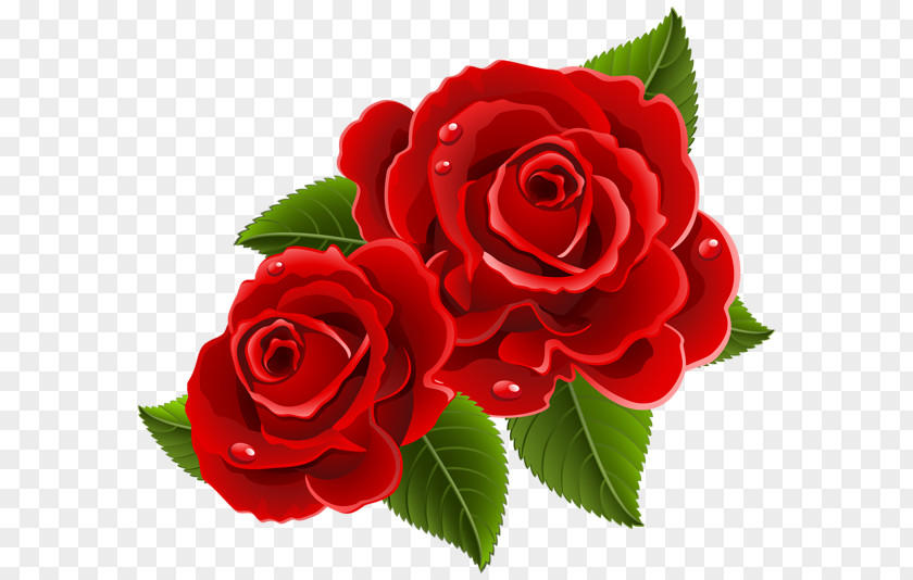 Red Roses Rose Heart Love Valentine's Day Clip Art PNG