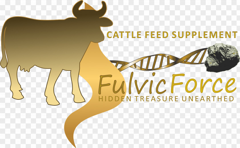 Cattle Feed Feeding Fulvic Acid Humic Horn PNG
