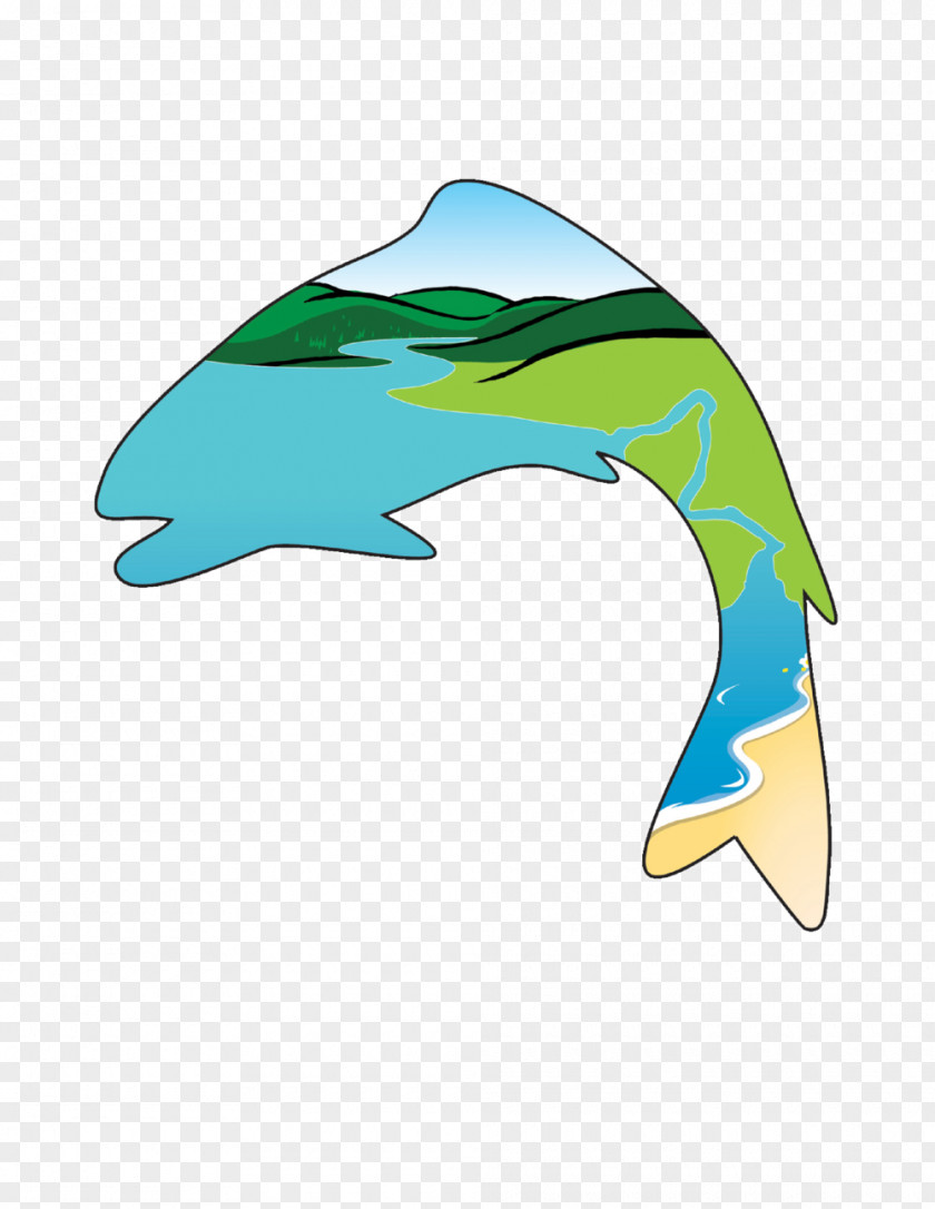 Common Bottlenose Dolphin Central Coast Salmon Enhancement LinkedIn Clip Art PNG