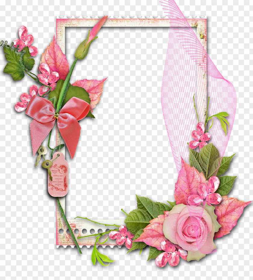 FLOWER FRAME Picture Frames Flower Garden Roses Decorative Arts Photography PNG