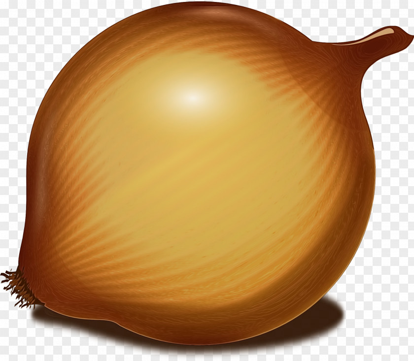 Onion Product Design Clip Art PNG