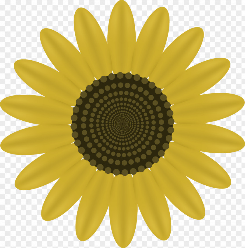 Sunflower Bands, Brews & BBQ Food Nutrition Wheatgrass Paper PNG