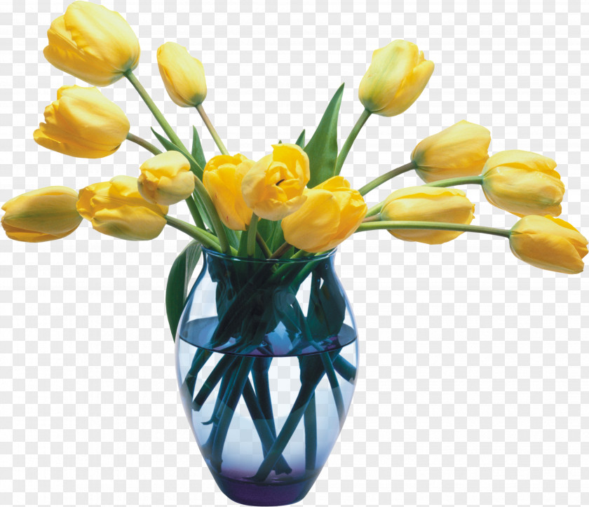 Vase PNG clipart PNG