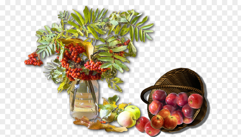 Elderberry Food 0 1 Vegetable October PNG