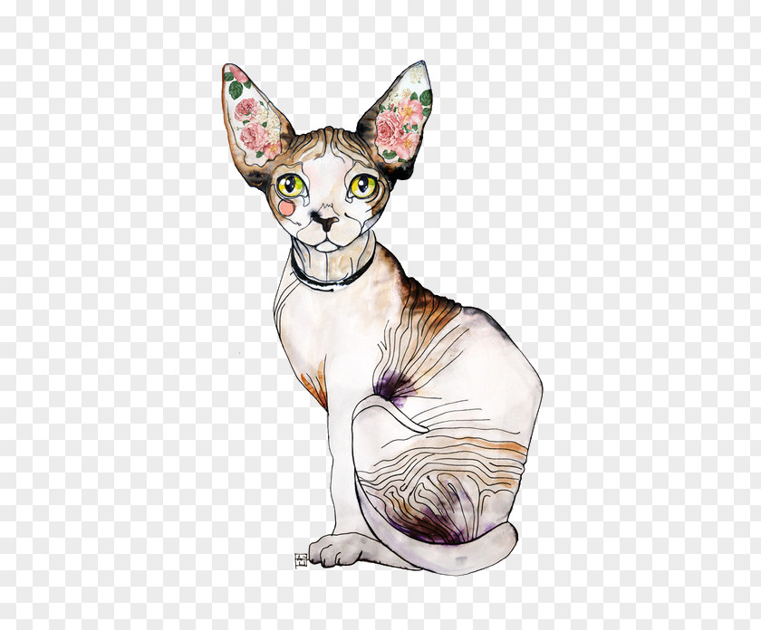 Kitten Sphynx Cat Donskoy Peterbald Persian PNG