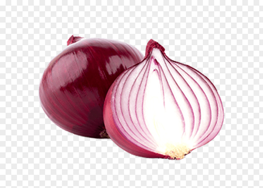Onion Red Food Vegetable Shallot Yellow PNG
